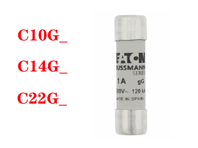 IEC標準10*38mm C10G12 C10G10 C10G1 C10G0.5 C10G4 C10G32 C10G8 C10G6 C10G20 C10G25 C10G16 C10G2